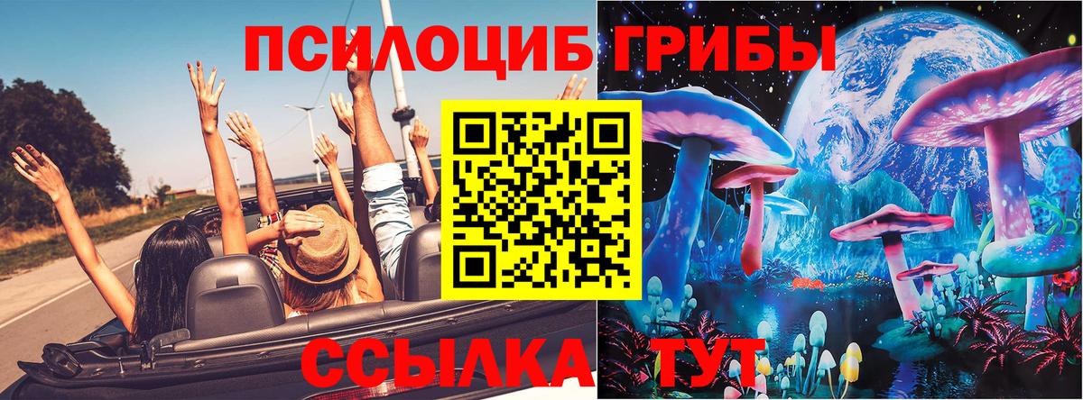 Острогожск  купить наркоту  Псилоцибиновые грибы мухоморы  Вход с VPN  Галлюциногенные грибы Psilocybe 
