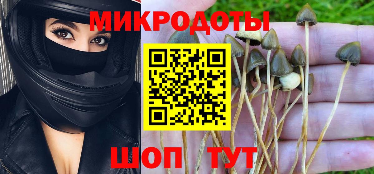 Галлюциногенные грибы Cubensis Острогожск